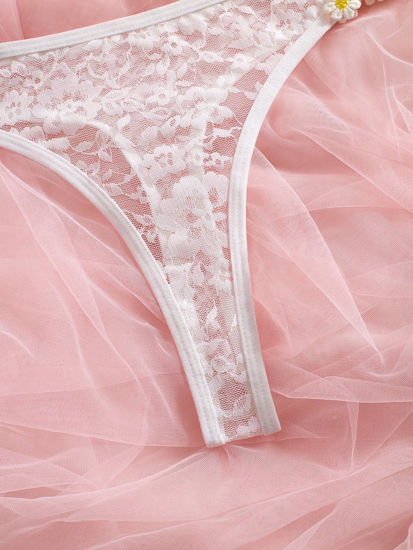 Sheer Mesh Contrast Lace Floral Embroidery Underwire Lingerie Set